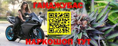 индика Ачхой-Мартан