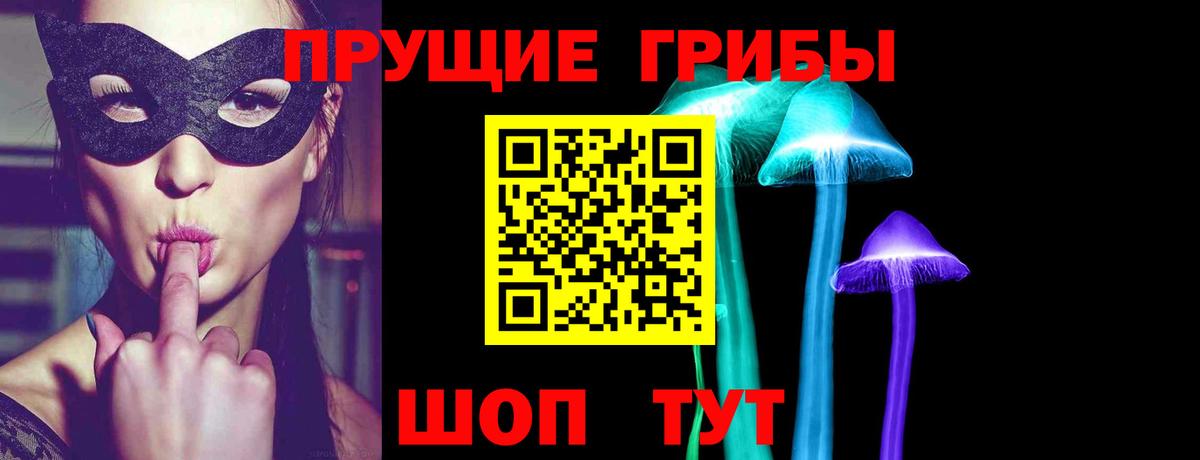 Псилоцибиновые грибы GOLDEN TEACHER Ахтубинск